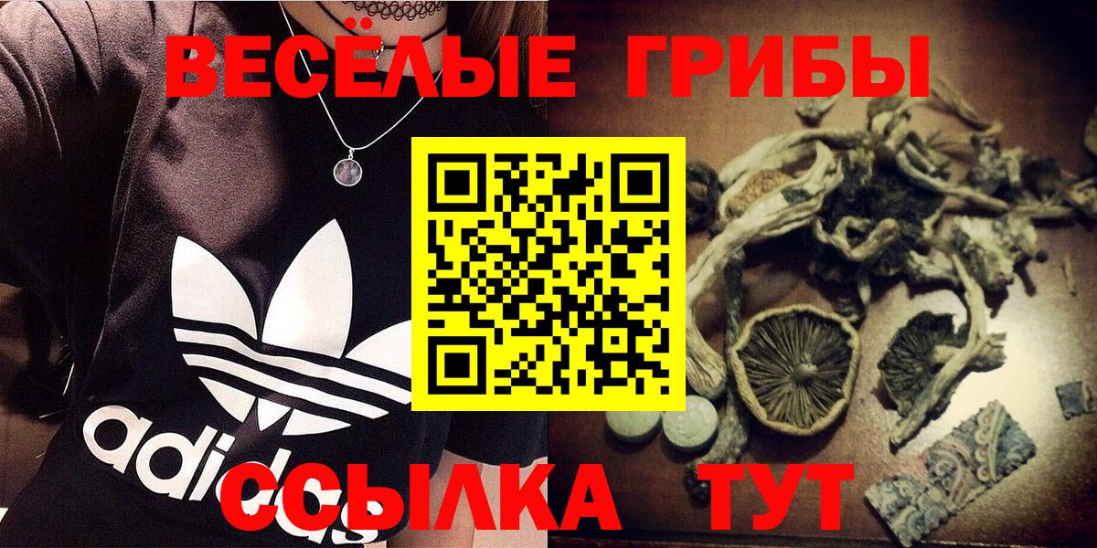 Галлюциногенные грибы Psilocybine cubensis Саянск